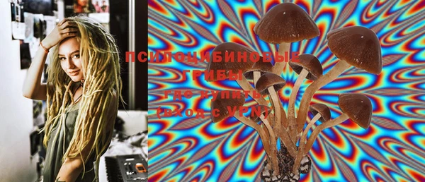 стафф Нея