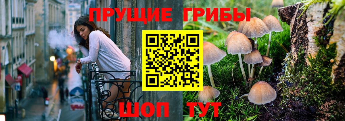 Галлюциногенные грибы Magic Shrooms  закладка  Псилоцибиновые грибы Psilocybe  Копейск  Вход с VPN 