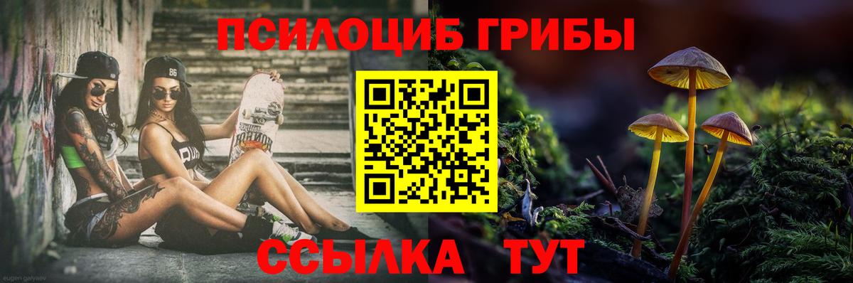 МДМА  Экстази  Купить  Мефедрон кристаллы  Alpha PVP СК кристаллы  Копейск  Конопля  АМФ  