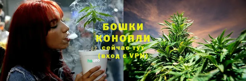 МАРИХУАНА White Widow  где купить наркотик  Копейск 